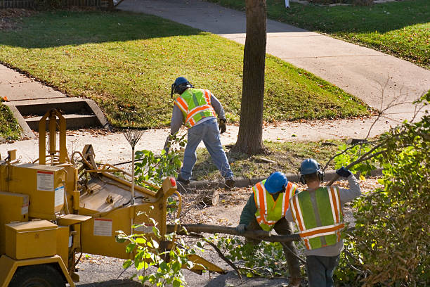 Best Lawn Irrigation Installation and Maintenance  in Belle, MO